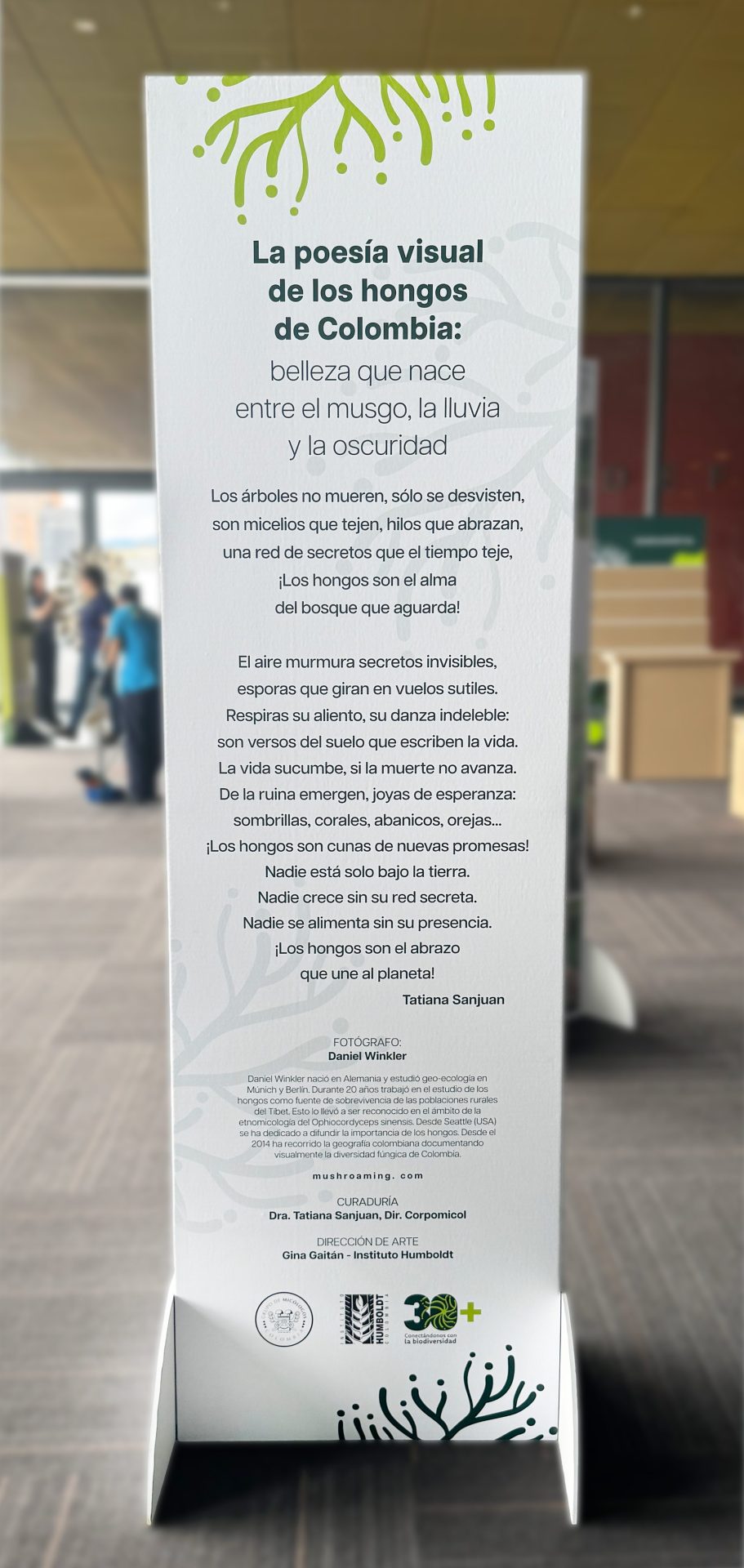 Totem 3 info mejorada
